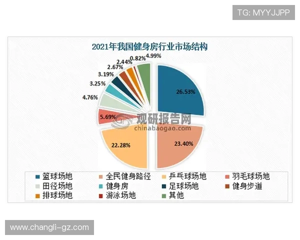 杭州羽毛球队心理素质深度对比分析揭示运动员竞技表现的关键因素