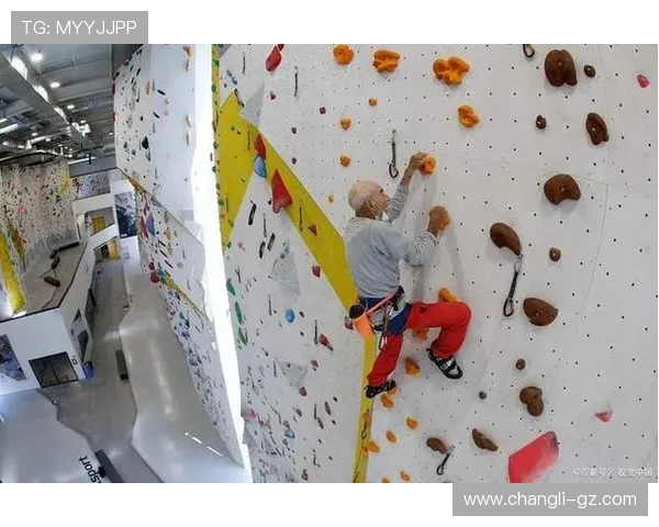 武汉攀岩队的节奏与挑战探索攀岩运动的魅力与团队精神